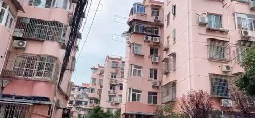 河津九龙小区爆料视频,揭秘小区内幕，业主生活现状引关注